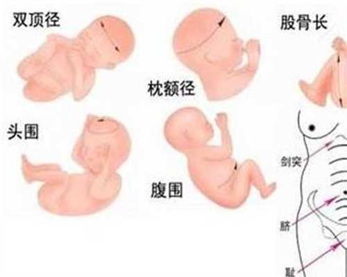 中国借卵合法吗，不液化的精子能不能生育-