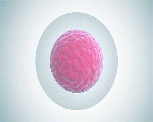 代孕包性别-输卵管有炎症怎么能治好-十月份喜孕