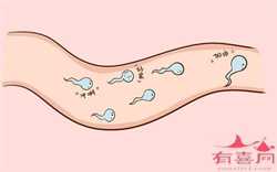 南京专业代怀网，孕期合理饮食能让宝宝皮肤变白