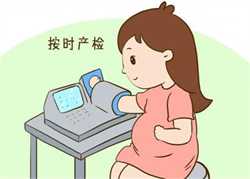 南京代母多少钱,南京50岁借卵子自怀，哪些因素会影响取卵个数？美国试管专家