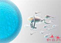 扬州可以做试管婴儿吗,北京助孕费用