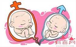 2022重庆正规妇产医院试管婴儿成功率一览，附试管成功经验分享