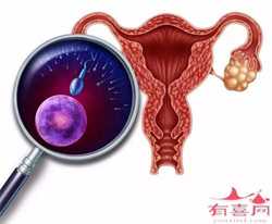南京正规供卵助孕公司,2022南京正规医院供卵的有哪些？附详细医院清单